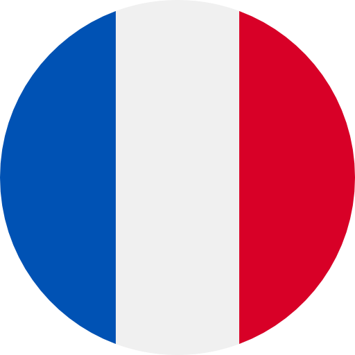 fr language flag icon